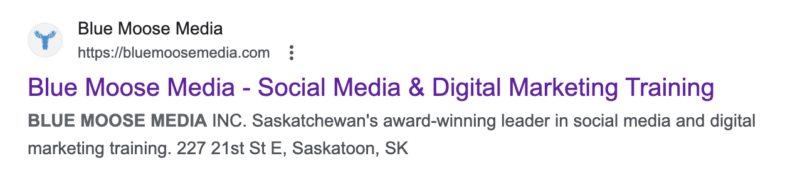 Blue Moose Media Title Tags and Meta Description Examples 